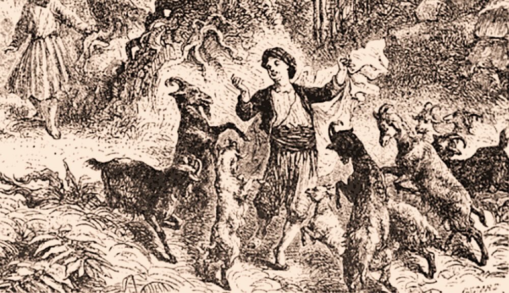 The Curious Goat